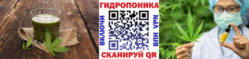 Купить закладки  Советск  Canna-Cookies конопля 