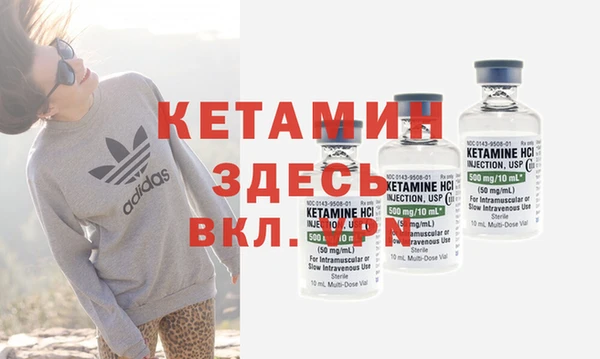 скорость Каменногорск