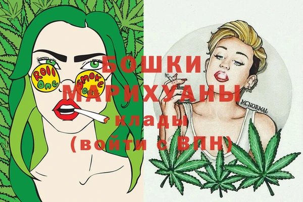 скорость Каменногорск