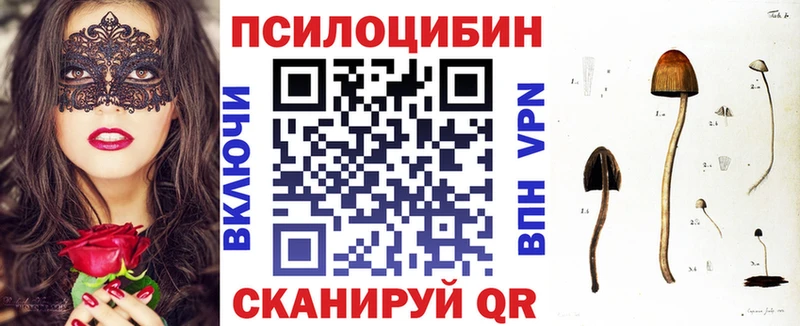 Псилоцибиновые грибы ЛСД  Купить где  Советск 